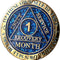 Styll Sobriety Coin