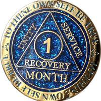 Styll Sobriety Coin